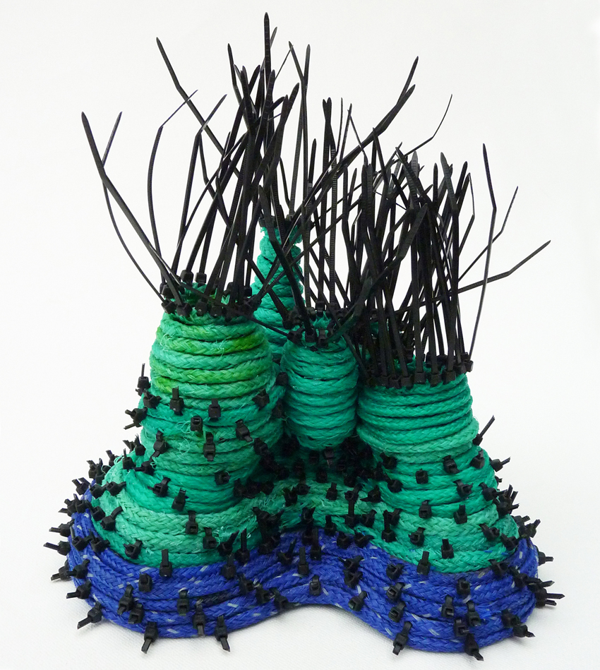 CARMEL WALLACE_Hybrid Reef 3_2015_beachfound fishing ropes & cable ties_H23xW22xD19cm